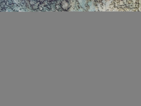 Close-up old brick wall with moss and lichenの写真素材