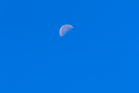 Half Moon During Day in Blue Sky. Bright moon orbiting earth in a blue clear sky during the daytime showing craters. Waxing Gibbous past first quarter. Southern hemisphere, winter. の写真素材