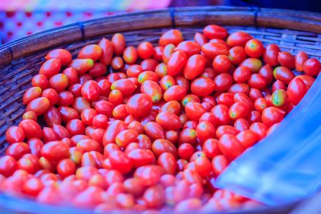 Fresh Sweet Cherry Tomatoes (Solanum lycopersicum L. var. cerasiforme ), small tomatoes, sweet taste, texture and smell different and contain beta - carotene, vitamin C and vitamin E are high.の写真素材
