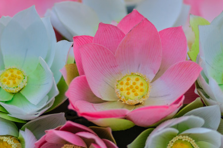 Cute Artificial pink lotus flowers or Water Lily. Artificial lotus flower, handmade paper lotus flower with pink leaf and yellow petal, DIY art product for home or temple decoration.の写真素材