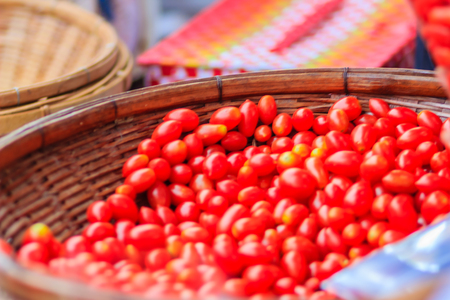 Fresh Sweet Cherry Tomatoes (Solanum lycopersicum L. var. cerasiforme ), small tomatoes, sweet taste, texture and smell different and contain beta - carotene, vitamin C and vitamin E are high.の写真素材