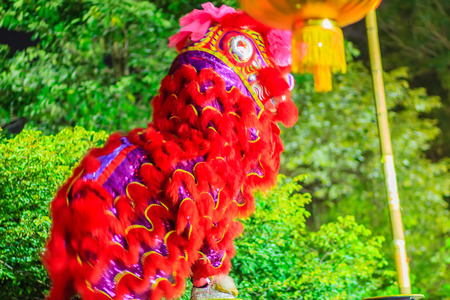Awesome Chinese lion dancing shows on the poles at night during Chinese new year festival in Bangkok, Thailand. Shot with high ISO with noise grain and blurredの写真素材
