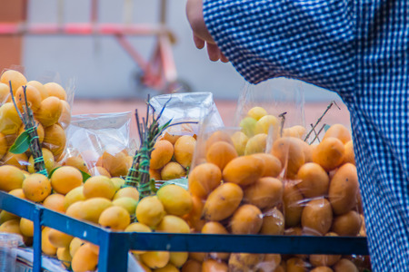 Plango fruit or Marian Plum, famous tropical fruit in Thailand for sale. Tropical fruit Marian plum, Plango, Maprang or Mayongchid (Bouae bumanica Griff)の写真素材