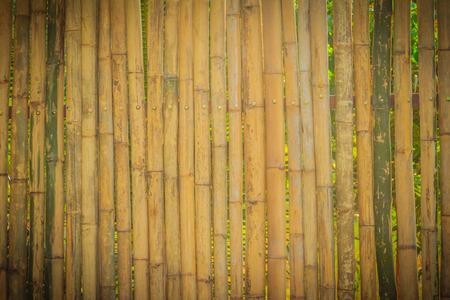 Abstract yellow dried bamboo boundary wall fence texture, bamboo wall background.の写真素材