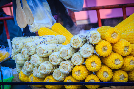 Close up boiled corn on street for sale in Bangkok, Thailand. Street vendor boiling and selling sweet corn on the cart. Boiled purple and yellow sweet corn are the popular street food in Bangkok.の写真素材
