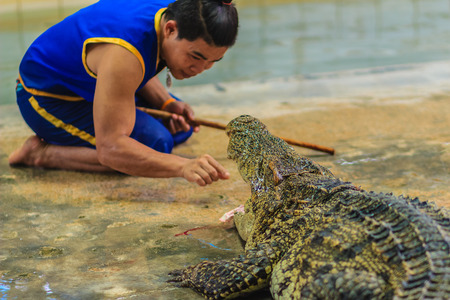 Nakhon Pathom, Thailand - May 18, 2017: Risky crocodile shows at Samphran Crocodile Farm, one of the most impressive public crocodile shows in the world.のeditorial素材
