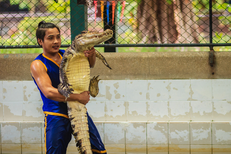Nakhon Pathom, Thailand - May 18, 2017: Risky crocodile shows at Samphran Crocodile Farm, one of the most impressive public crocodile shows in the world.のeditorial素材