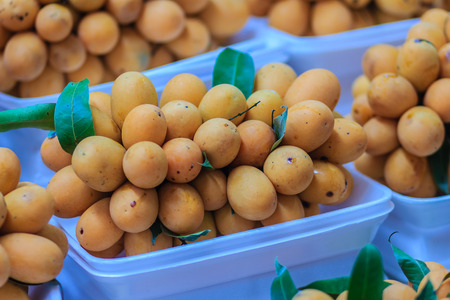 Plango fruit or Marian Plum, famous tropical fruit in Thailand for sale. Tropical fruit Marian plum,...