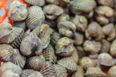 Fresh blood cockle or blood clam (Tegillarca granosa) background. Close-up raw sea cockles clams display for sale at seafood market use for cook steamed blanched cockles clams that very delicious menuの写真素材