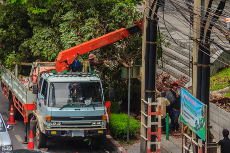 Bangkok, Thailand - April 1, 2017: Truck loader crane is lifting big roadside tree causing traffic jammed in the rush hour.のeditorial素材