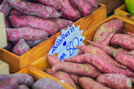 Organic Japanese sweet potatoes for sale at the local fresh market with price tag. Roasted sweet potato is a popular winter street food in East Asia. Purple and yellow sweet potatoes on sale.の写真素材
