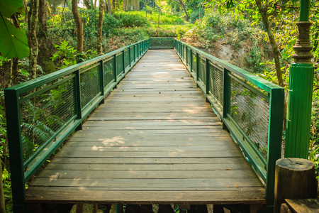 Wooden and steel bridge in between trekking trail in the tropical forest.の写真素材