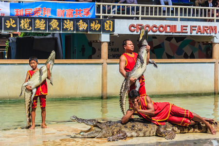 Samut Prakarn, Thailand - March 25, 2017: Boy and his team in dangerous crocodile shows. Risky crocodile shows in crocodile farm, one of the most impressive public crocodile shows in the world.のeditorial素材