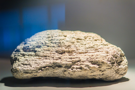 Pumice or pumicite stone specimen for education. Pumice is a volcanic rock that consists of highly...