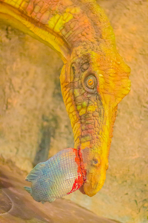 Cute model of Siamosaurus suteethorni dinosaur in the public museum. Siamosaurus is a genus of theropod dinosaur from Early Cretaceous Thailand. の写真素材