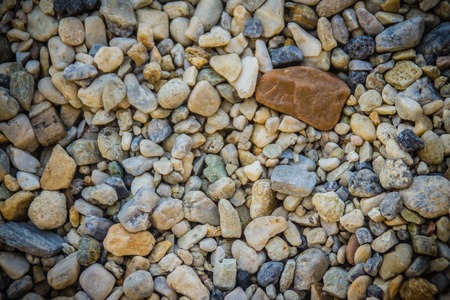 Small stone gravel background texture. Multicolor gravel textures, mix color of gravel texture for background.の写真素材