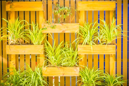 Beautiful wooden vertical garden wall with square ornamental flower pot in vertical style. Decorated vertical garden with small flower pot hanger box.の写真素材