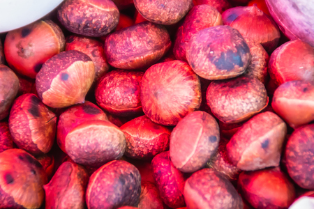 Roasted Thai Castanea nuts for sale in the local market. Castanopsis inermis is also known as chinquapin or chinkapin, is a genus of evergreen trees belonging to the beech family.の写真素材