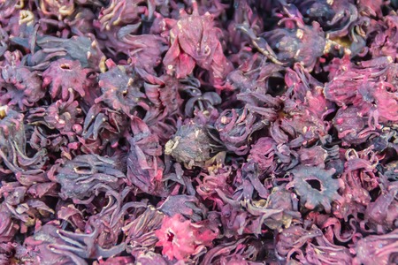 Dried Roselle (Hibiscus sabdariffa) for sale in the local market. It is a species of Hibiscus that native to West Africa, used for the production of bast fibre and known as carcade.の写真素材
