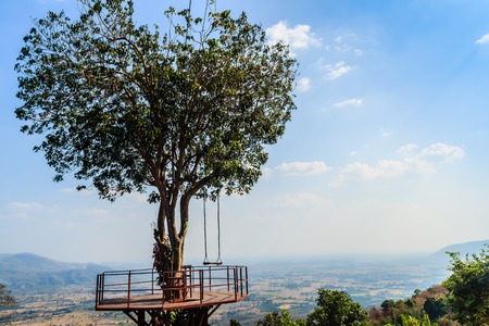 Tree of love in heart shaped with the green valley, blue sky and mountain range background. This...