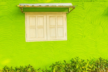 Green wall with white window background and copy space for your text.
