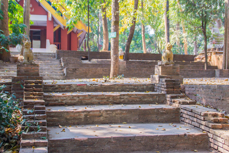 Old stone stair case in the ancient temple with green trees surrounding. Peaceful stone path going uphill in the forest leading up to a temple.の写真素材