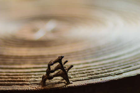 Old patterned of frog drum made from bronze, on the front of the drum, often making decorative frog...