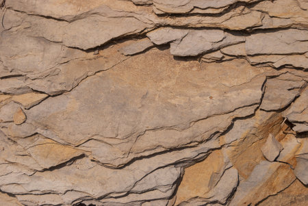 A close-up view of a layered rock surface in shades of light brown and gray. The natural texture features irregular, thin sheets with a weathered and uneven appearance.の写真素材