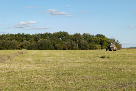 Field with hay, beautiful clear summer day. Tula region. Russiaの写真素材