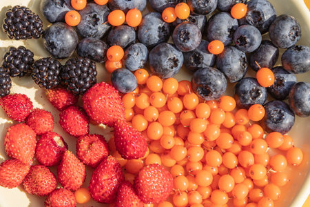 Mixed various berries collected on the plot, assorted berries of blackberries, strawberries, blueberries, sea buckthorn. Colorful and healthy concept. Black, blue, red, green, close upの写真素材