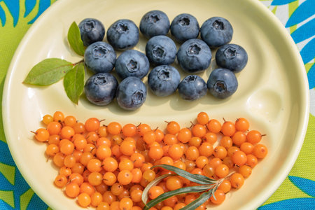 ripe blueberries and sea buckthorn berries collected on the plot. Colorful and healthy concept,...