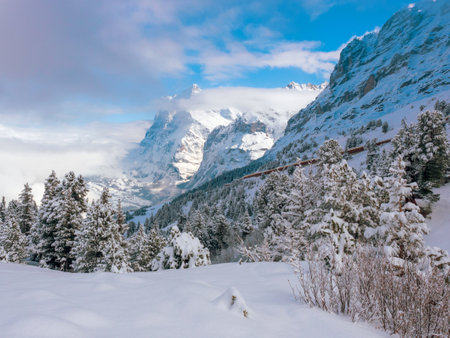 Beautiful winter mountain landscape in Sunny weather with views of Wetterhorn 3692m mountain peak. Grindelwald, Bernese Oberland Switzerland.の写真素材