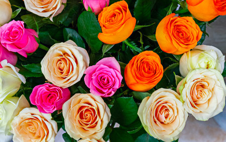 bouquet of colorful garden roses, as a background for the designの写真素材