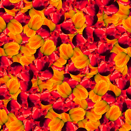 texture of a seamless flower pattern, decorative design elementsの写真素材