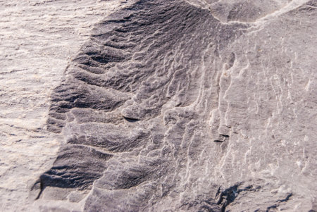 Smooth natural stone with unique surface texture.