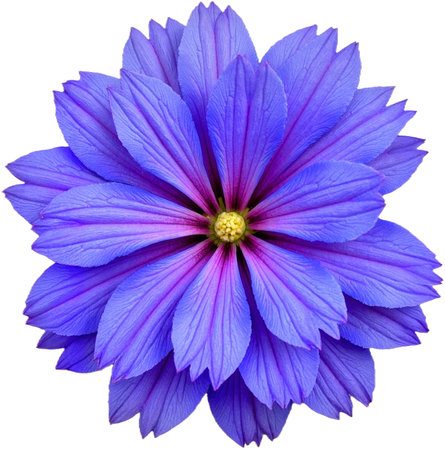 Vibrant blue flower close-up on white background, nature's beautyの写真素材