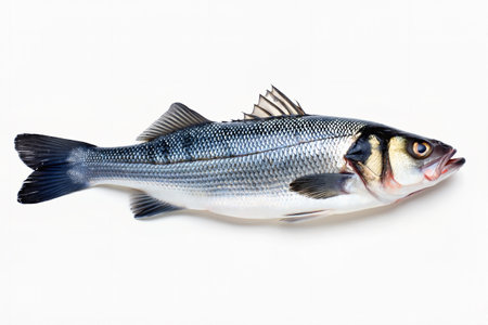 Fresh sea bass on white background. generated by aiの写真素材