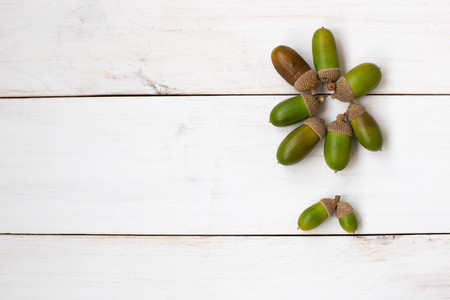 acorns wooden background