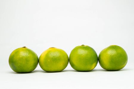 four tangerine on the tableの写真素材