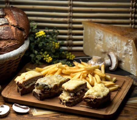 brown bread sandwich with grated cheese and french friesの写真素材