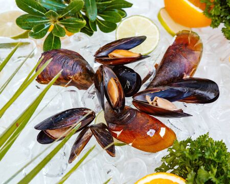 top view of raw mussels placed on ice surrounded with