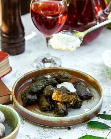 grape leaf dolma with katykの写真素材