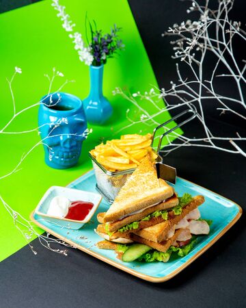 club sandwich with fried potatoの写真素材