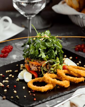 onion rings with vegetable saladの写真素材