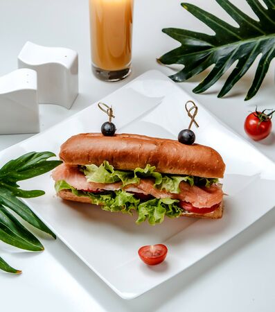 salmon sandwich with vegetables on the tableの写真素材