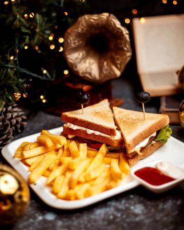 club sandwich with french friesの写真素材