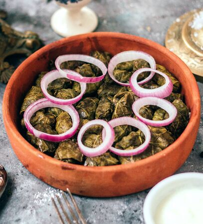 leaves dolma with onion slice on topの写真素材