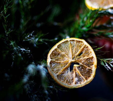 sliced dried lemon with herbsの写真素材