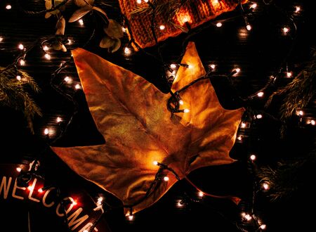 tree leave with small lightsの写真素材