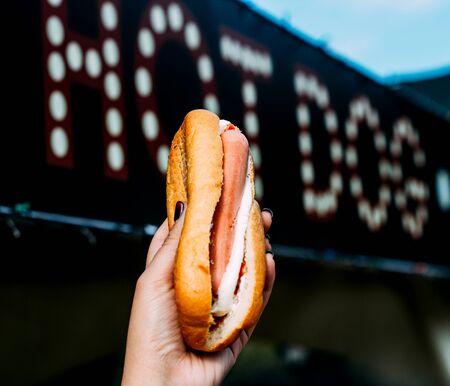 a person holding hot dogの写真素材
